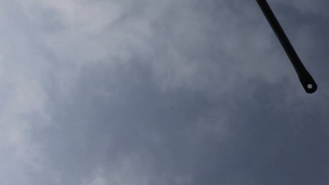 Голуби готовятся к зиме! смотреть онлайн