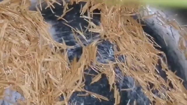 ??? ???? ???? ????? ?????? 959