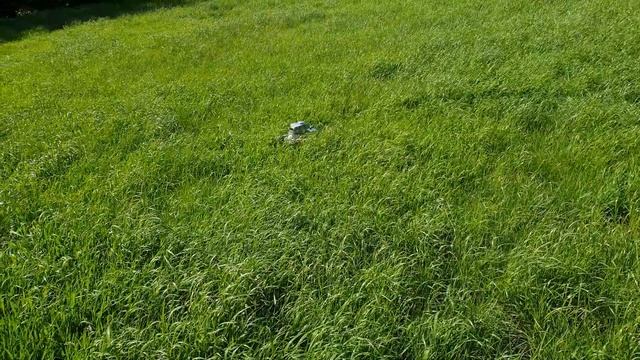 scale 1/8 RC renault FT tank; first test drive through grass смотреть онлайн