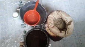 Как поить телят без молока ? Козье  молоко и лен  для телят .