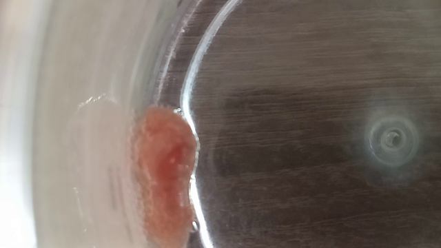 наблюдения за ростом животным смотреть онлайн