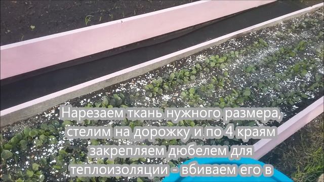 Избавляемся от сорняков - агроволокно. смотреть онлайн