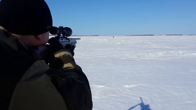 Охота на кабана. Benelli Argo .30-06., Leupold VX-1, 3-9x50, Duplex. смотреть онлайн