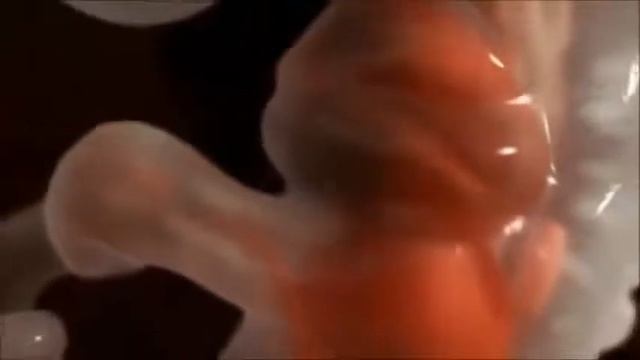 Как зарождается жизнь. Беременность изнутри. The birth of life. смотреть онлайн