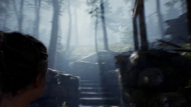 Hellblade PC Walkthrough Pt 5 Field of Dreams MAX Settings 4k 60 FPS смотреть онлайн