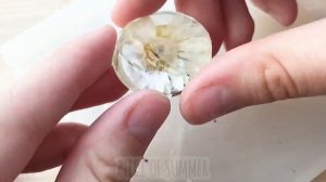 ?ЗАЛИВАЮ НАСЕКОМЫХ В СМОЛУ /ЭПОКСИДНАЯ СМОЛА?