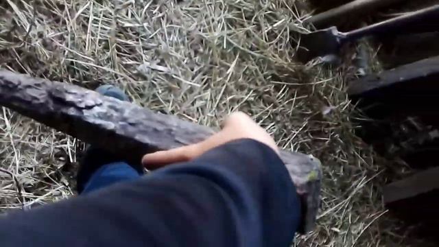 что появилось в нашем домике) смотреть онлайн