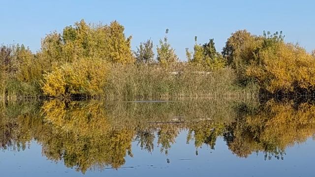 ПРОВЕРЯЮ КАЛЕНДАРЬ РЫБОЛОВА – Часть #1 / Будет ли КЛЕВАТЬ в КРАСНЫЙ ДЕНЬ?! смотреть онлайн