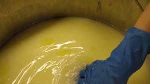 сыр ЭДАМ из КОЗЬЕГО МОЛОКА. нюансы работы с козьим молоком, как сделать правильный шар