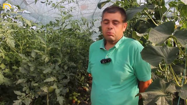 Био зеленчуци от с.Плачидол смотреть онлайн