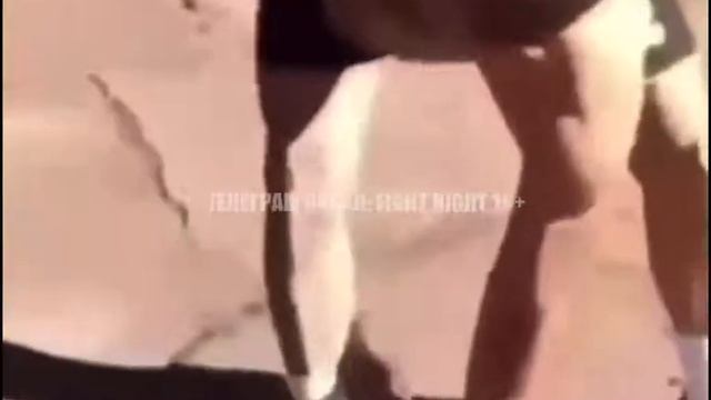 1 июня 2021 г. смотреть онлайн