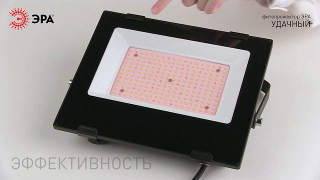 Полноспектральные фитопрожекторы ЭРА "Удачный" (50 и 100 Вт) смотреть онлайн
