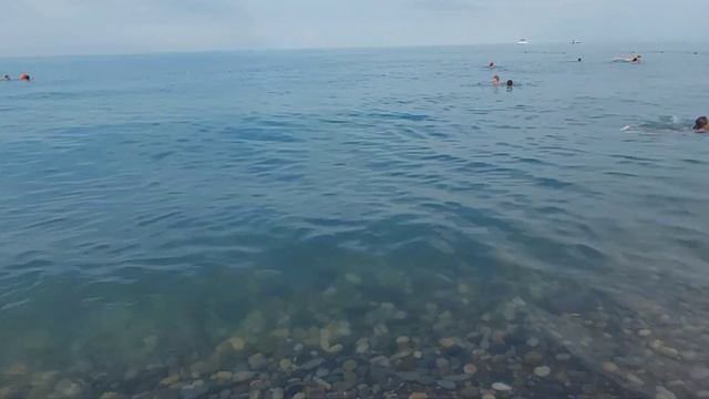 Лазаревское июнь смотреть онлайн