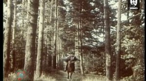 Серебряный шар 30.10.1995
