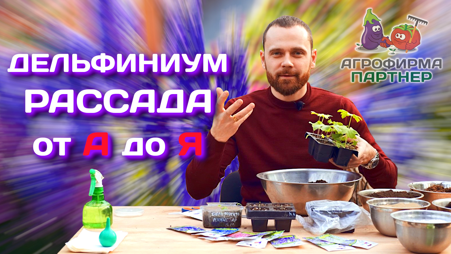 Дельфиниум | Все о выращивании рассады от А до Я | #рассада #дача #цветы смотреть онлайн