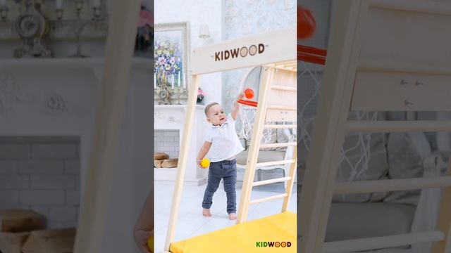 Баскетбольное кольцо смотреть онлайн