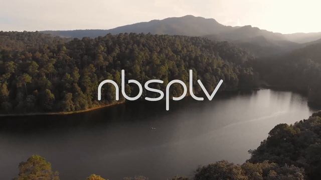 NBSPLV - Insight
