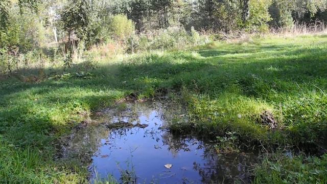 Гляжу в озёра синие смотреть онлайн