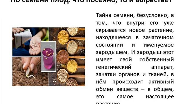 Онлайн заседание Клуба садоводов-любителей «Урожайный пакетик: выбираем семена правильно». Выпуск 1 смотреть онлайн