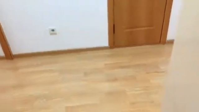 ЖК Лесная Поляна 2комн с ремонтом смотреть онлайн