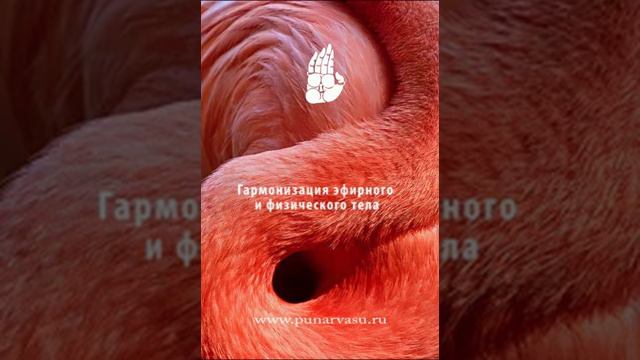 Гармонизация эфирного и физического тела смотреть онлайн