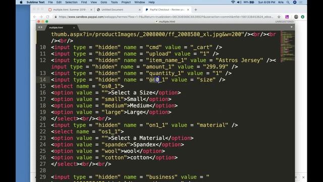 Passing Multiple Items and Options to Paypal смотреть онлайн