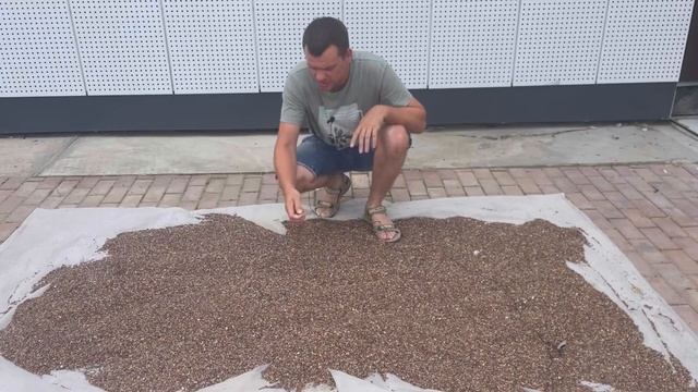Инструкция по укладке каменного ковра, все рассказываем и показываем! смотреть онлайн