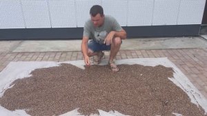 Инструкция по укладке каменного ковра, все рассказываем и показываем!