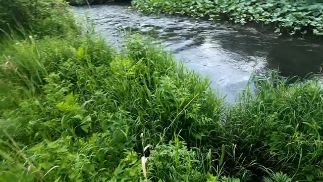 Рыбалка на ТАЕЖНОЙ речке/Ловля ХАРИУСА с Восходом СОЛНЦА/р.Медвежья ДИКАЯ. смотреть онлайн