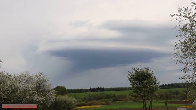 О ПЕРЕПЕЛАХ И ЦЫПЛЯТАХ Леггорна лавандового и австралорпах. Наша малышня подросла. смотреть онлайн