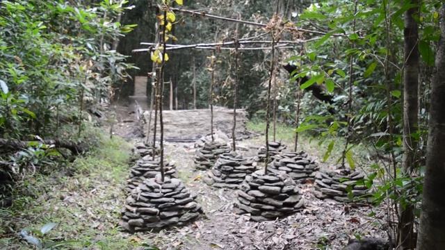 Primitive Technology Hut Burned Down, Built New One