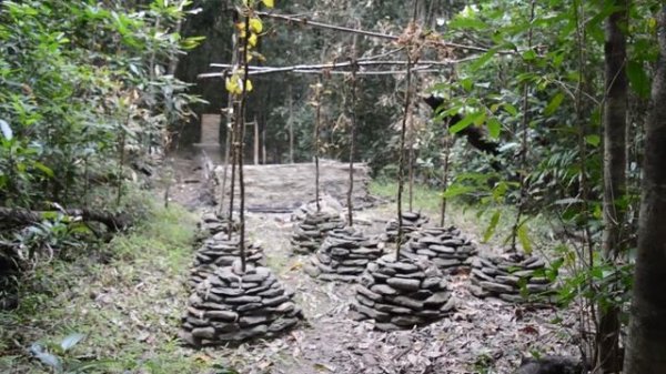 Primitive Technology Hut burned down, built new one