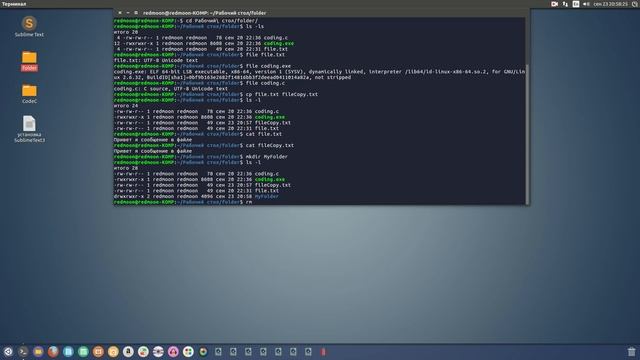 Видео урок 2 Терминал Linux команды: file, mv, cp, rmdir, ps, kill 9, find, sort, , clear смотреть онлайн