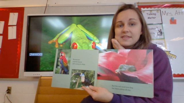 Red-Eyed Tree Frog by Joy Cowley смотреть онлайн