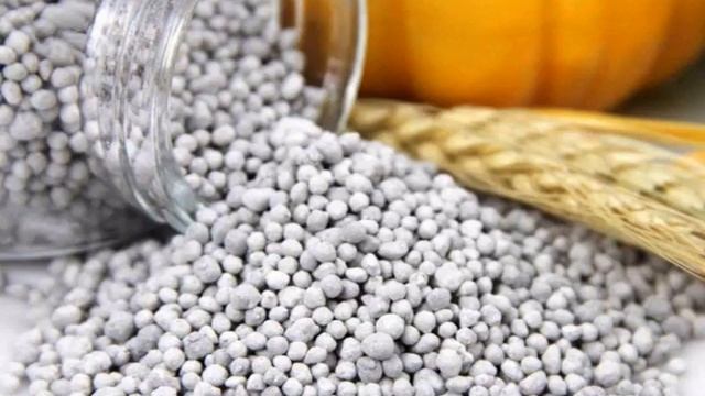 Янтарная кислота для рассады томатов смотреть онлайн