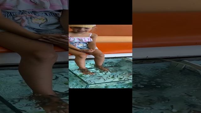 IMG_2369 смотреть онлайн