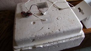 Инкубация. Выпариваем гусиные яйца в инкубаторе.