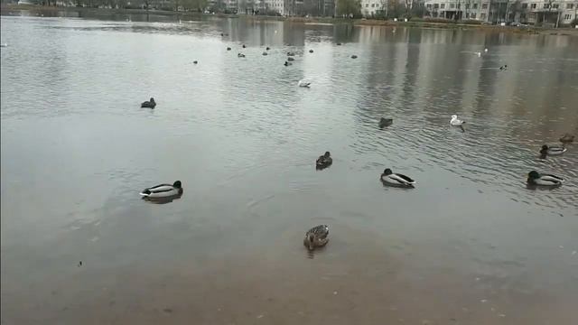 Жить порой бывает нам не просто смотреть онлайн