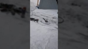 фотон ауман, где находится номер двигателя номер рамы