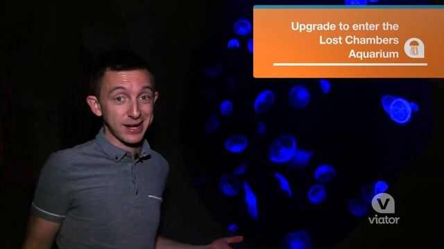 Aquaventure (Аквавенчер) аквапарк Атлантис - ШАН ТУРС, ОАЭ #ШАНТУРС #ОАЭ #Aquaventure #Аквавенчер смотреть онлайн