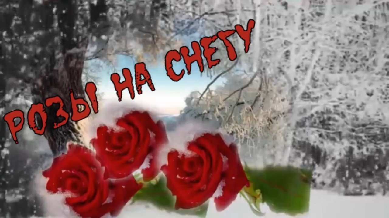 Розы на снегу.mp4 смотреть онлайн