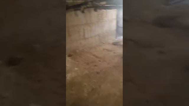 В Киеве нашли пыточную? А нет, это всего лишь одно из столичных бомбоубежищ. Все для народа NE.СА смотреть онлайн