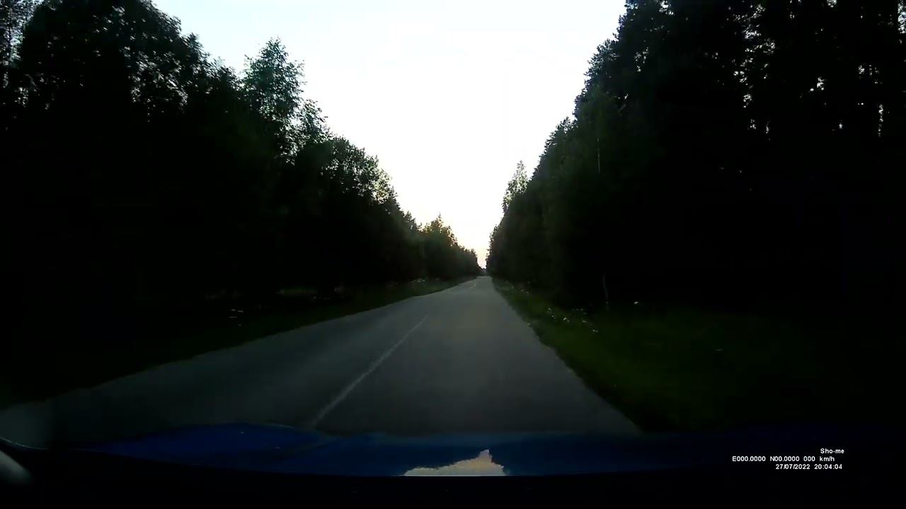 Кабан. Неожиданная встреча на дороге. смотреть онлайн