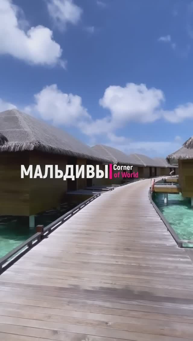 Shorts || МАЛЬДИВЫ - Мальдивы - Рай на земле! Отдых на Мальдивах! #MALDIVAS #ASMR #Shorts смотреть онлайн