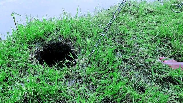 Amazing Fishing Video.Best Underground Catfish Come Out With Big Chicken In River Side Hole.