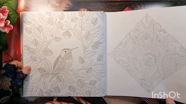 Милли Маротта. Челлендж "начинаю новую раскраску" смотреть онлайн