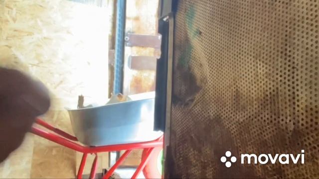 Живу в избе|убрал избу| попил чаю|добыл воды|Балон от трактора| кот кимарит |Поел мяса| смотреть онлайн