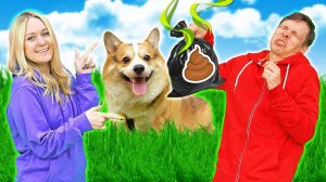 Собака хочет гулять! Как правильно ее выгуливать и куда идти? Смешное видео для детей с корги