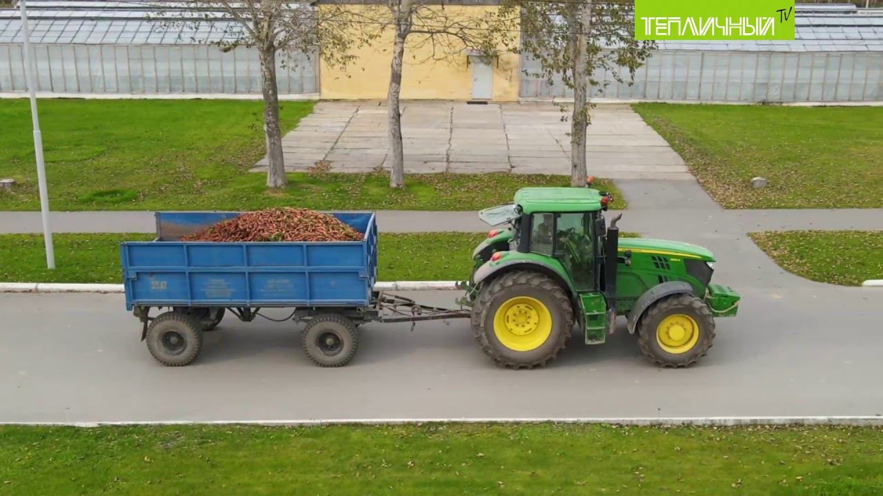 Овощехранилища "Тепличного" пополняются морковью смотреть онлайн