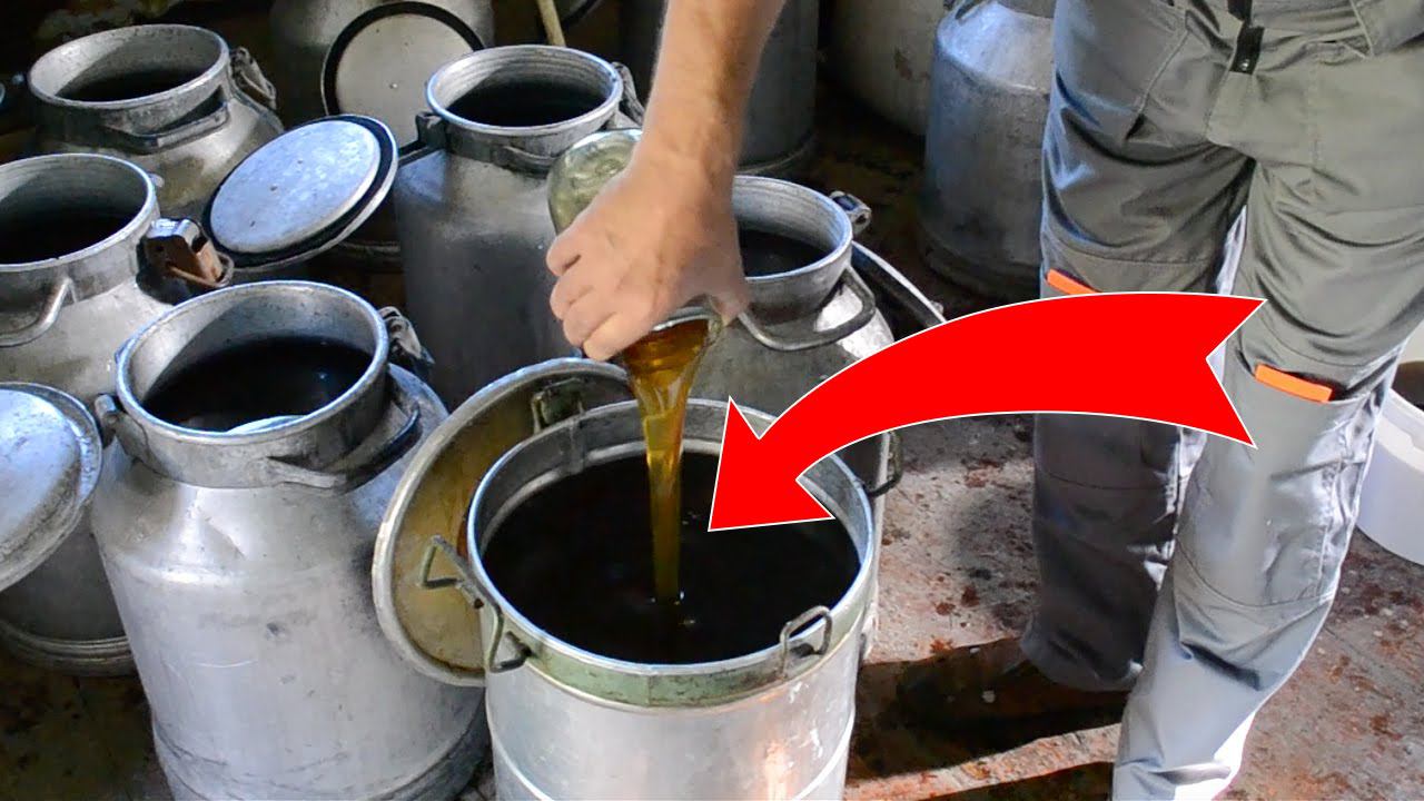 КАК ПРИГОТОВИТЬ САХАРНЫЙ СИРОП ИНВЕРТИРОВАННЫЙ ДЛЯ ПОДКОРМКИ ПЧЕЛ В ЗИМУ? смотреть онлайн